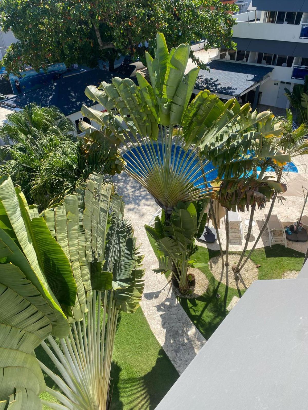 New Garden Hotel Sosúa 외부 사진